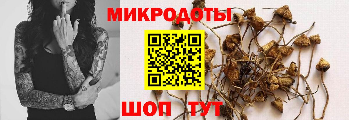 Галлюциногенные грибы Psilocybine cubensis Новокуйбышевск