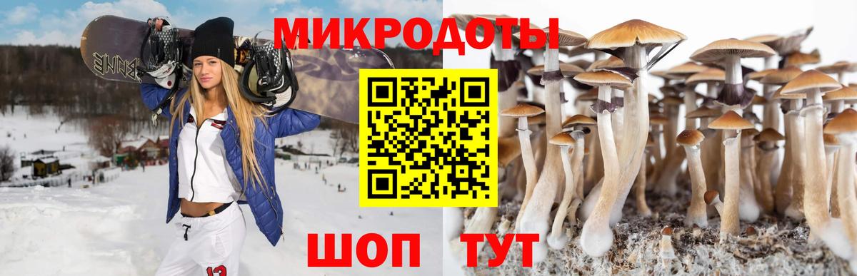 Новокуйбышевск  Псилоцибиновые грибы ЛСД  Вход с VPN 